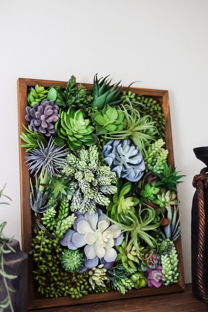 Wall-Mounted Succulent Frames