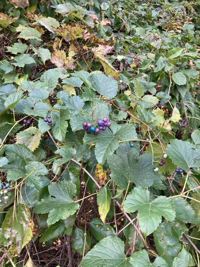 Barrier Installation