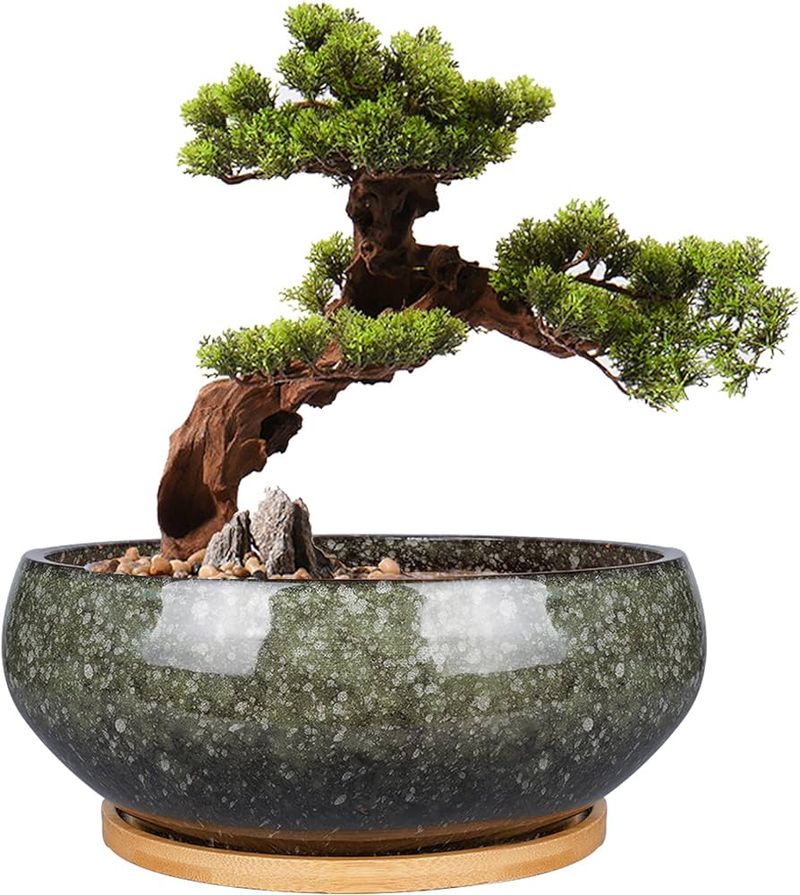 Zen Bonsai Corner