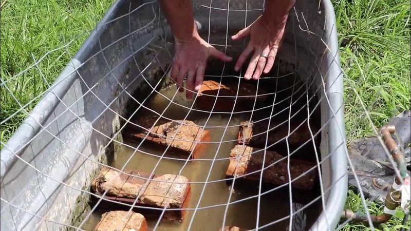 Wasteful: Open Water Troughs for Wildlife
