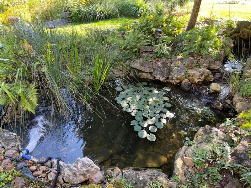 Wasteful: Unlevel Water Gardens