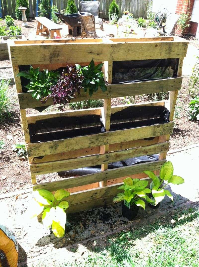 Pallet Garden