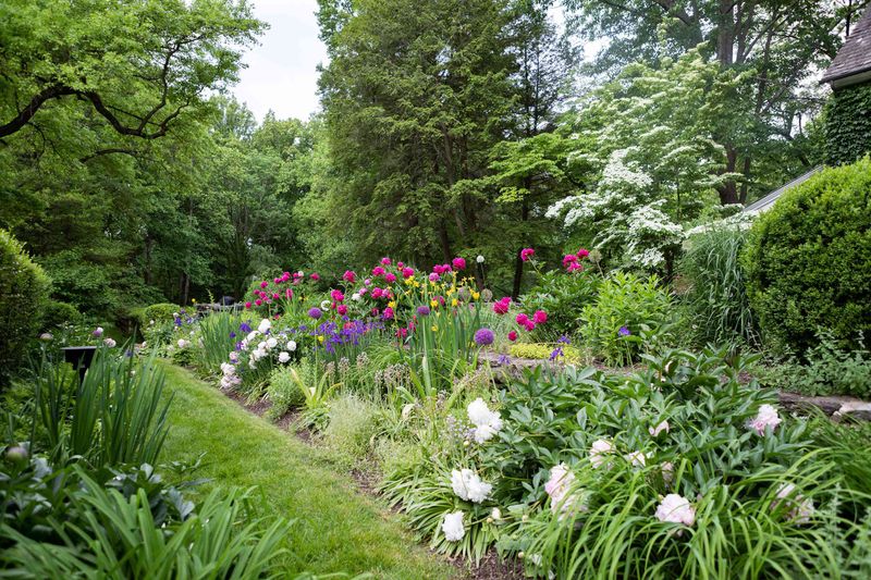 Perennial Borders