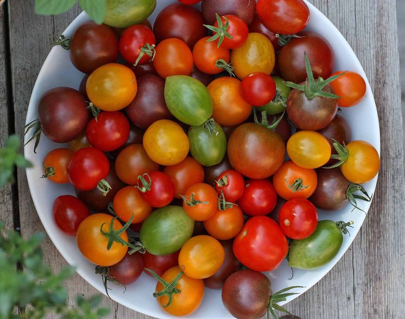 Choose the Right Varieties