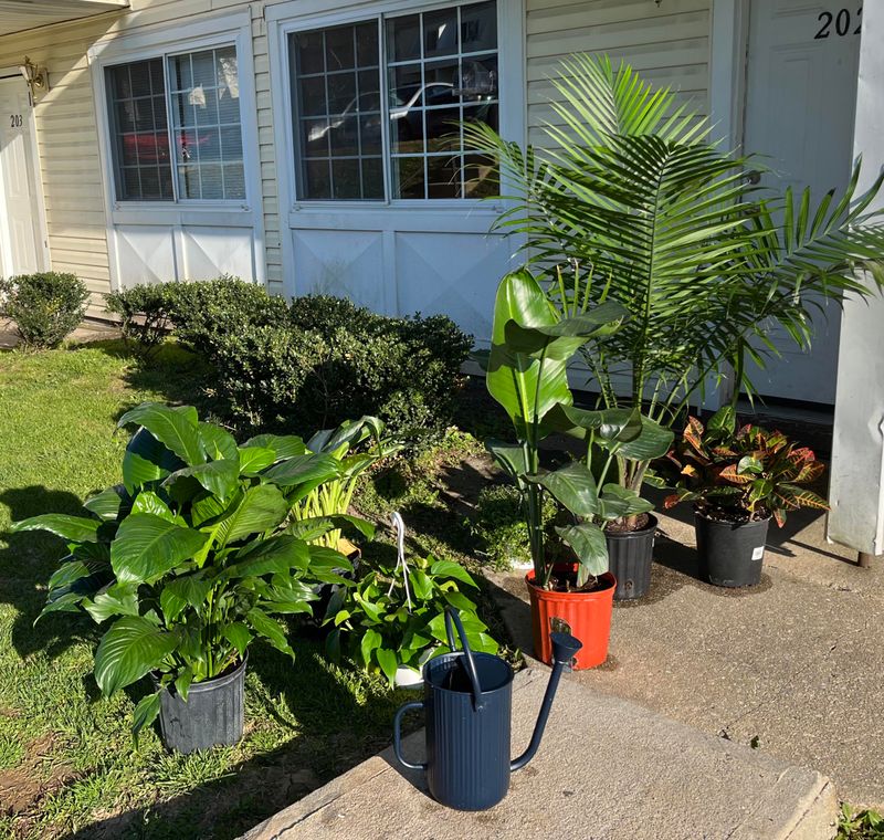 Growth Spurt: Preparing for Plant Expansion