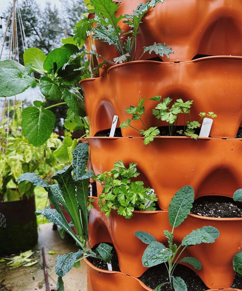 Soil and Nutrient Management