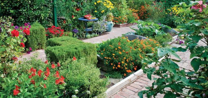 Aesthetic Appeal (Yes, It Matters!)