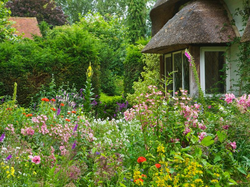 Cottage Gardens