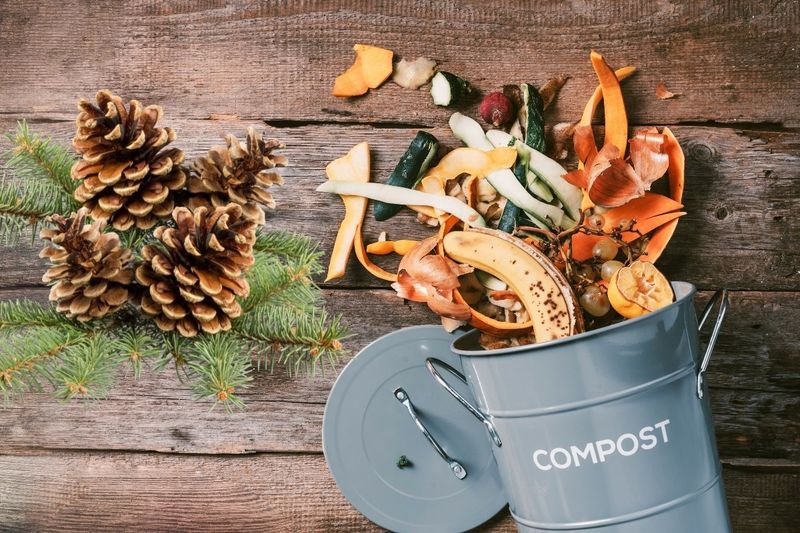 Composting Booster