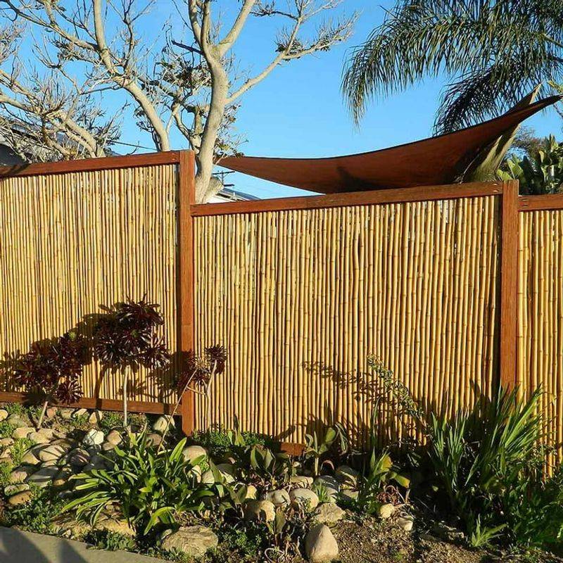 Bamboo Privacy Screen