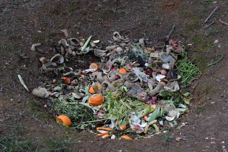 Composting the Scraps Takes Effort
