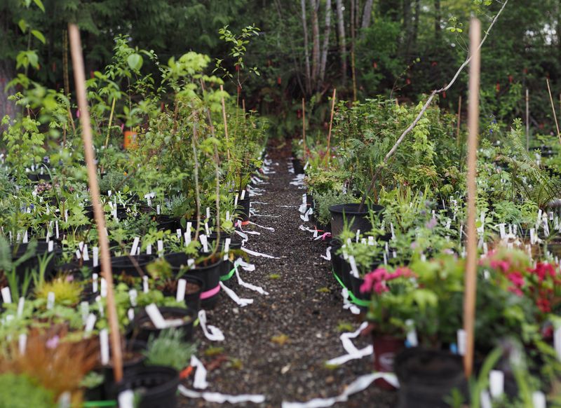 Becoming Part of the Plant Protection Solution