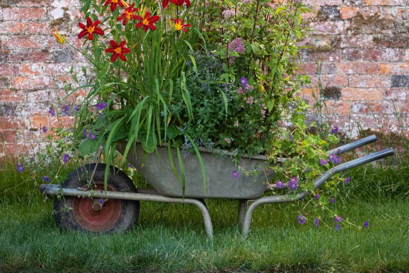 Rustic Wheelbarrow Garden