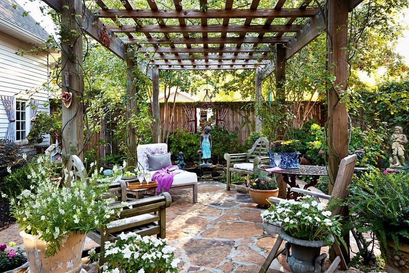 Pergola with Climbing Plants