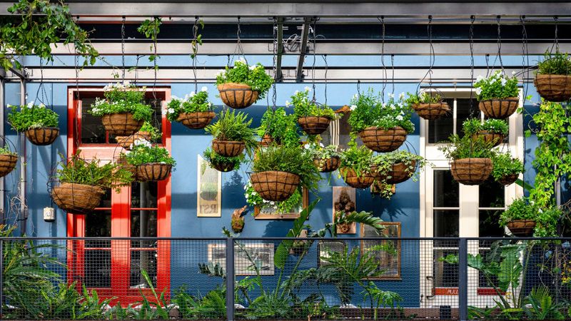 Hanging Gardens