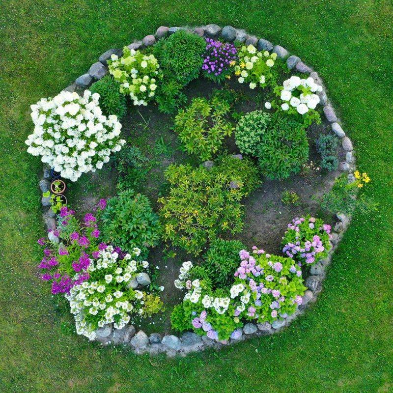 Fruit Tree Circle