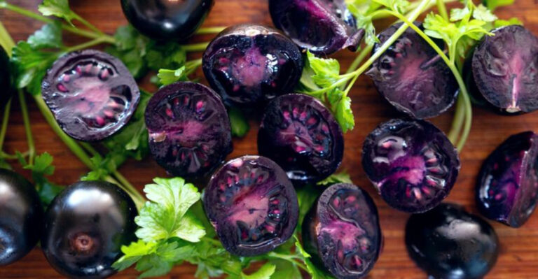 10 Biohacked Plants That Defy Nature’s Rules