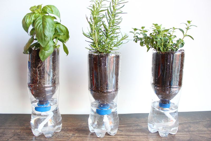 Self-Watering Planters