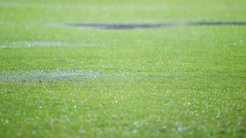 Overwatering Your Lawn