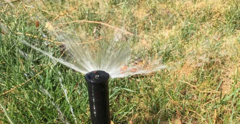 10 Costly Colorado Home Irrigation Mistakes That Could Drain Your Wallet This Season
