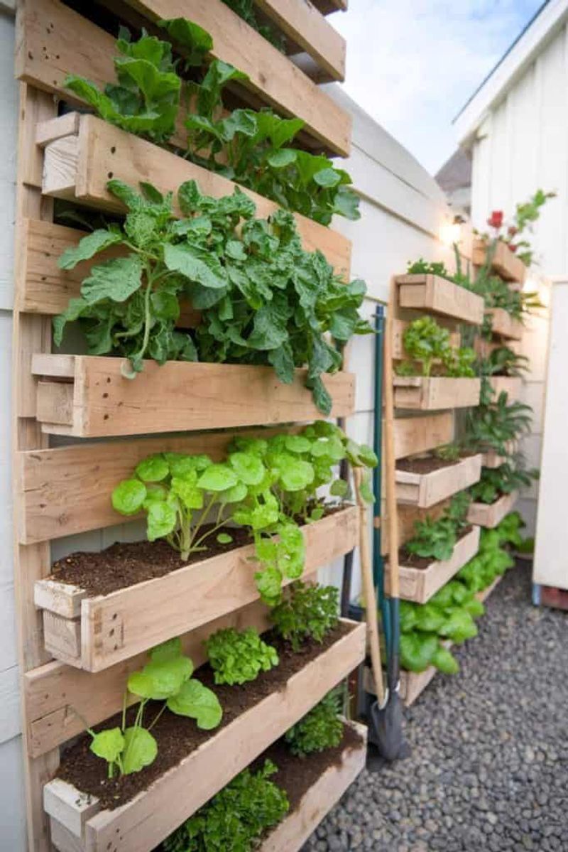 Pallet Planter Wall