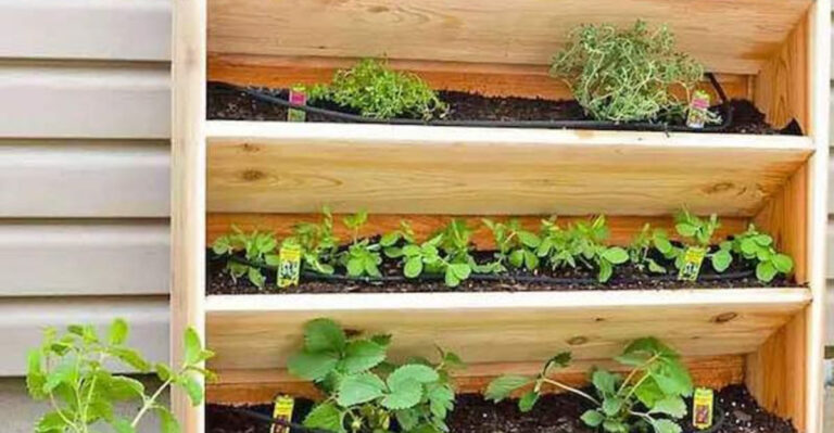 10 Creative DIY Vertical Gardens for Urban Dwellers