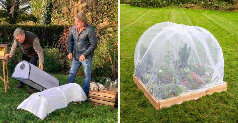 10 Garden Items That Feel Useless in July and 10 You’ll Wish You Bought Sooner