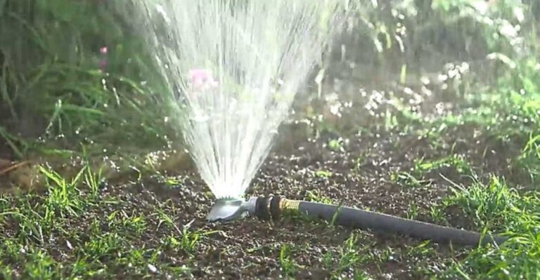 10 Lawn Care Myths That Are Ruining Yards in New Jersey Right Now