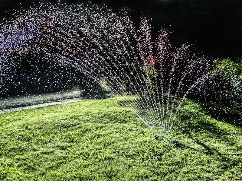 Myth 1: Watering at Night is Best