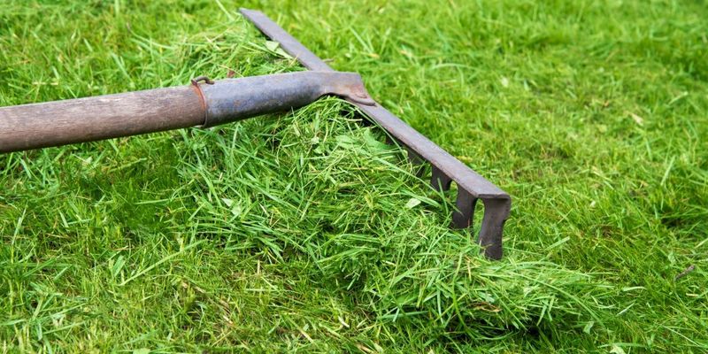 Don't Leave Grass Clippings in Clumps