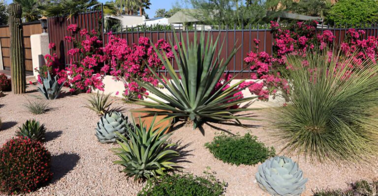 10 Things Not to Do When Xeriscaping in New Mexico