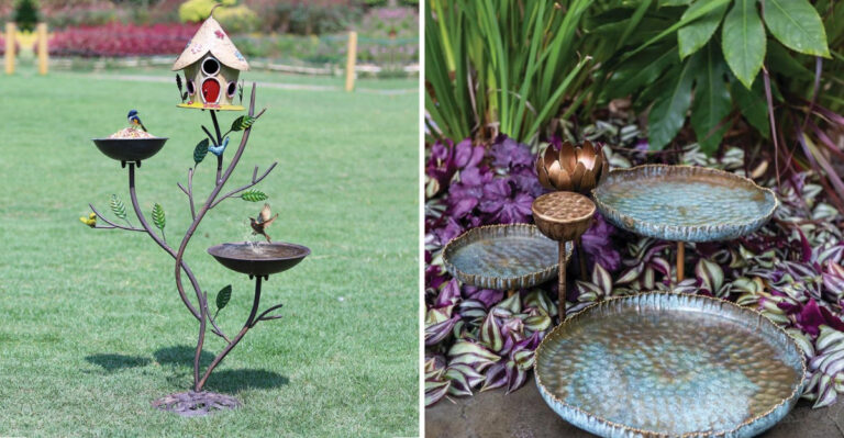11 Brilliant Tricks To Make Birds Flock To Your Birdbath (And 4 Rookie Mistakes To Avoid)