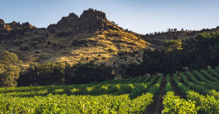 12 California Wineries That Will Take Your Breath Away