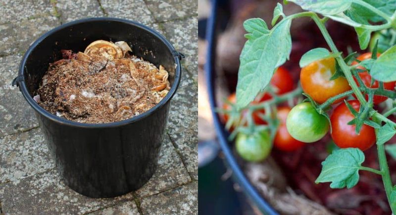 13. Organic Composting Benefits