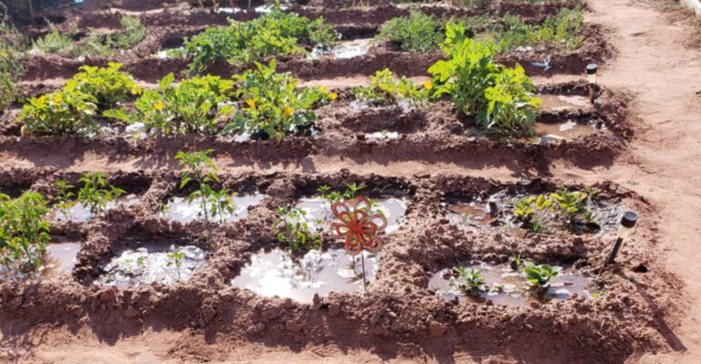 13 Forgotten Permaculture Techniques for a Self-Sustaining Garden