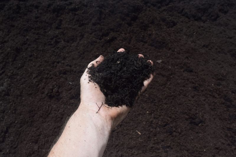 Use Organic Composts