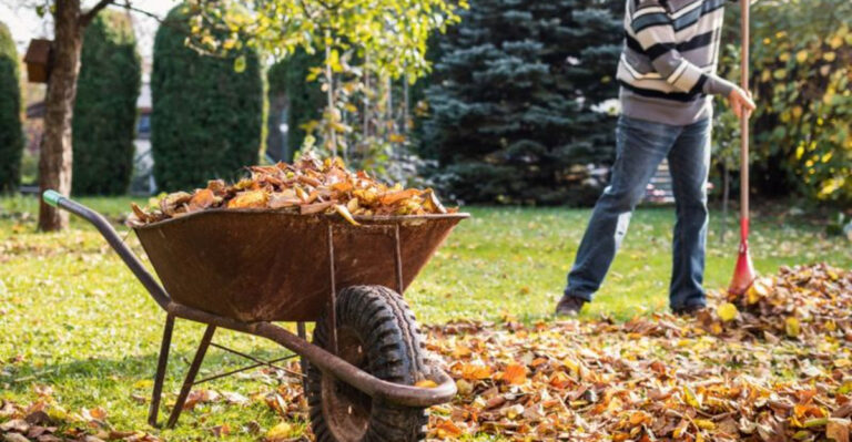 14 Gardening Tasks That Should Come With a Paycheck