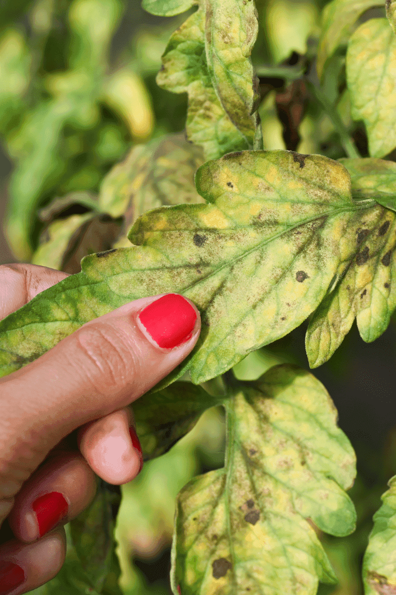 15. Stress Reduction Techniques