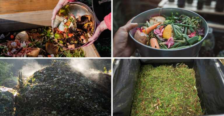 15 Composting Mistakes to Avoid