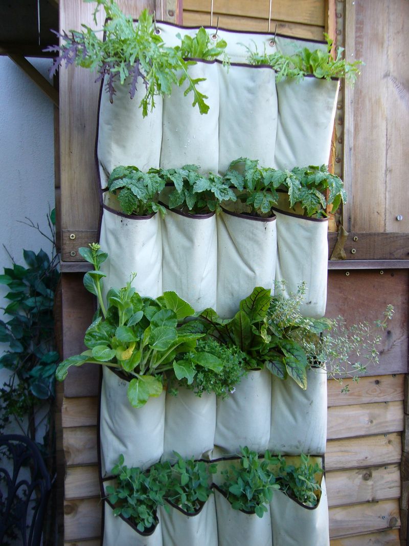 Hanging Shoe Organizer Garden