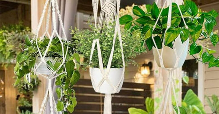 15 DIY Micro-Gardens for Tiny Balconies