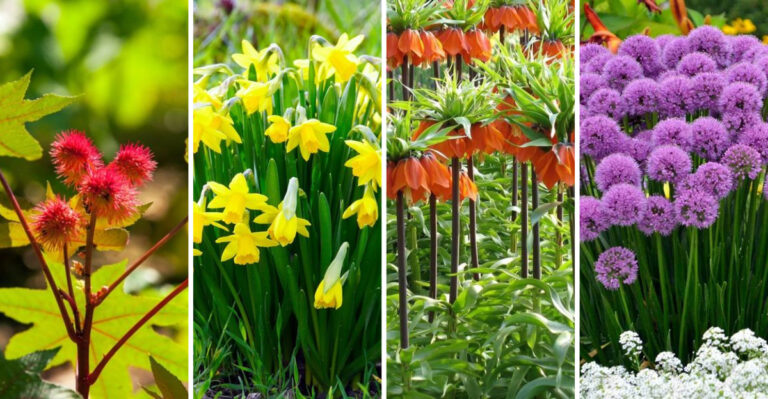 15 Plants That Naturally Repel Moles (And Keep Your Garden Tunnels-Free)