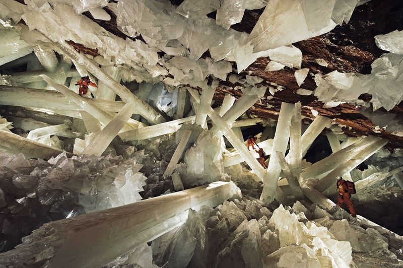 The Naica Crystal Forest