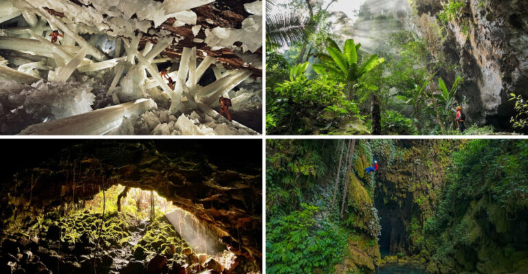 15 Secret Underground Forests That Science Can’t Fully Explain