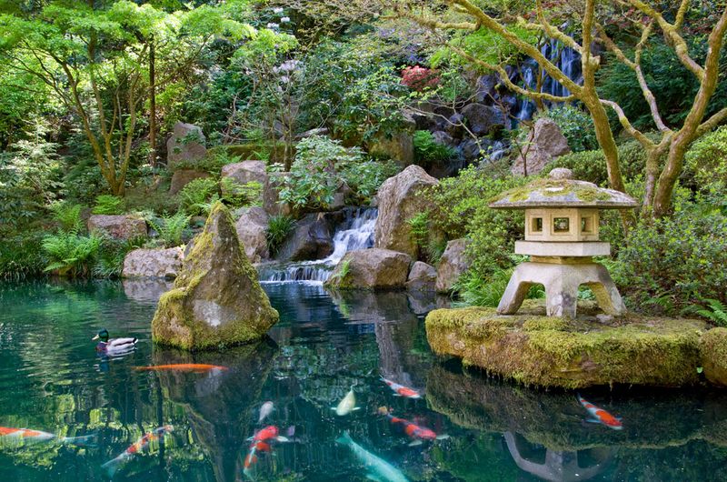 Japanese Zen Water Garden