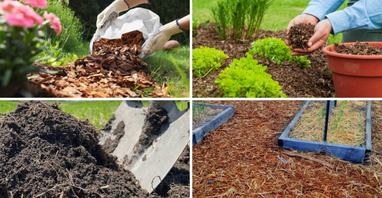 16 Benefits of Mulching Your Garden