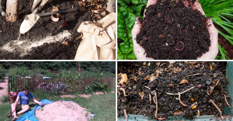 16 Smart Ways to Fill Your Raised Garden Bed for a Bountiful Harvest