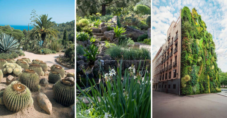 16 crazy (but fabulous) garden ideas from Spain