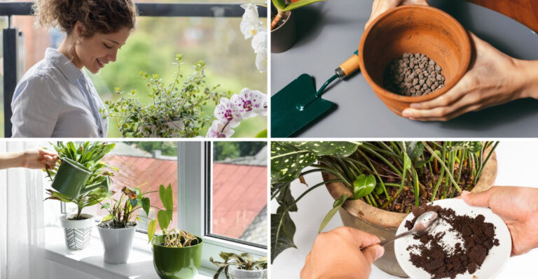 17 Garden Myths Your Neighbors Still Believe – The Truth Will Shock You