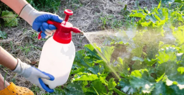 17 Gardening Habits That Don’t Work in Nevada’s Desert Climate (And Smarter Replacements)
